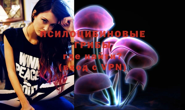 мдпв Липки