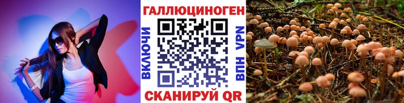 где купить наркотик  Новая Усмань  ссылка на мегу ТОР  Галлюциногенные грибы Psilocybe 